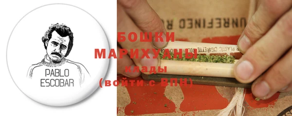 гидра Новодвинск