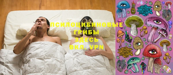 гидра Новодвинск
