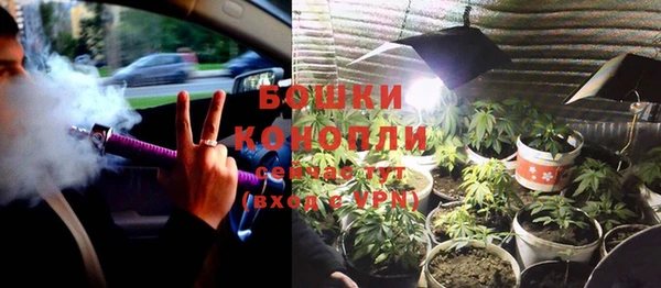 гидра Новодвинск