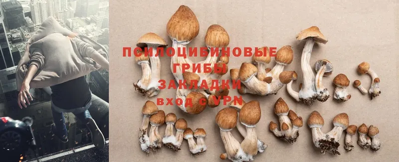 купить   Омск  blacksprut ТОР  Галлюциногенные грибы Magic Shrooms 