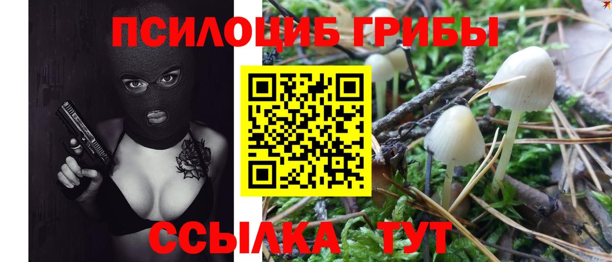 Псилоцибиновые грибы Magic Shrooms Омск